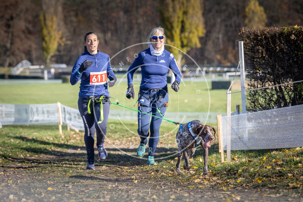 CaniXpix_DV3A9740 | Hundefotografie, Tierfotograf, Pfotenfotografie, Fotoshooting Hund, Hunde Portrait, Hundesport, Hundeportraits, Heideshooting, Hunde, Sportfotograf, Hundefotograf, Turnierhundsport, THS,  - Realisiert mit Pictrs.com