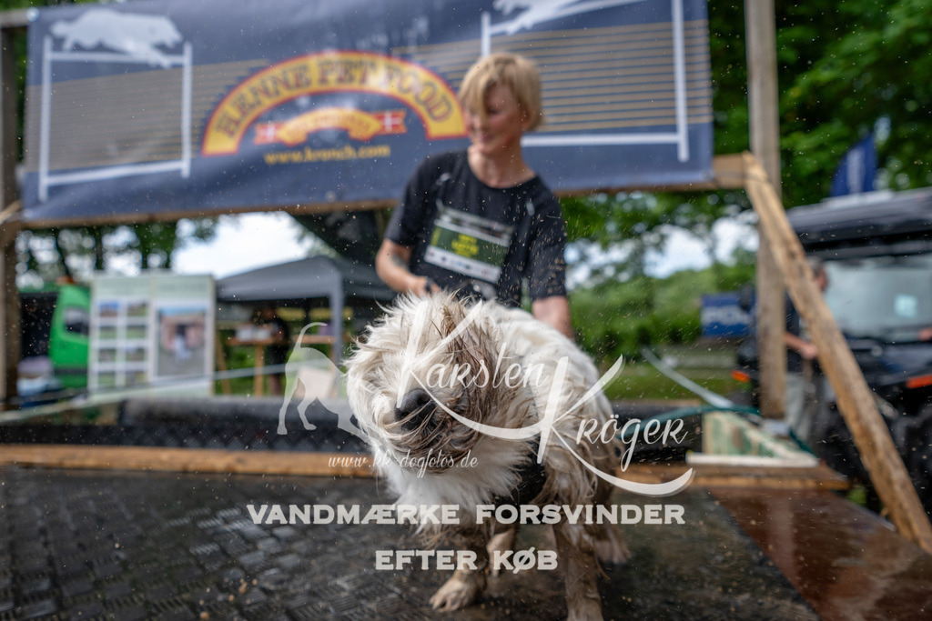 1127_ZZ94476 | kk-dogfotos