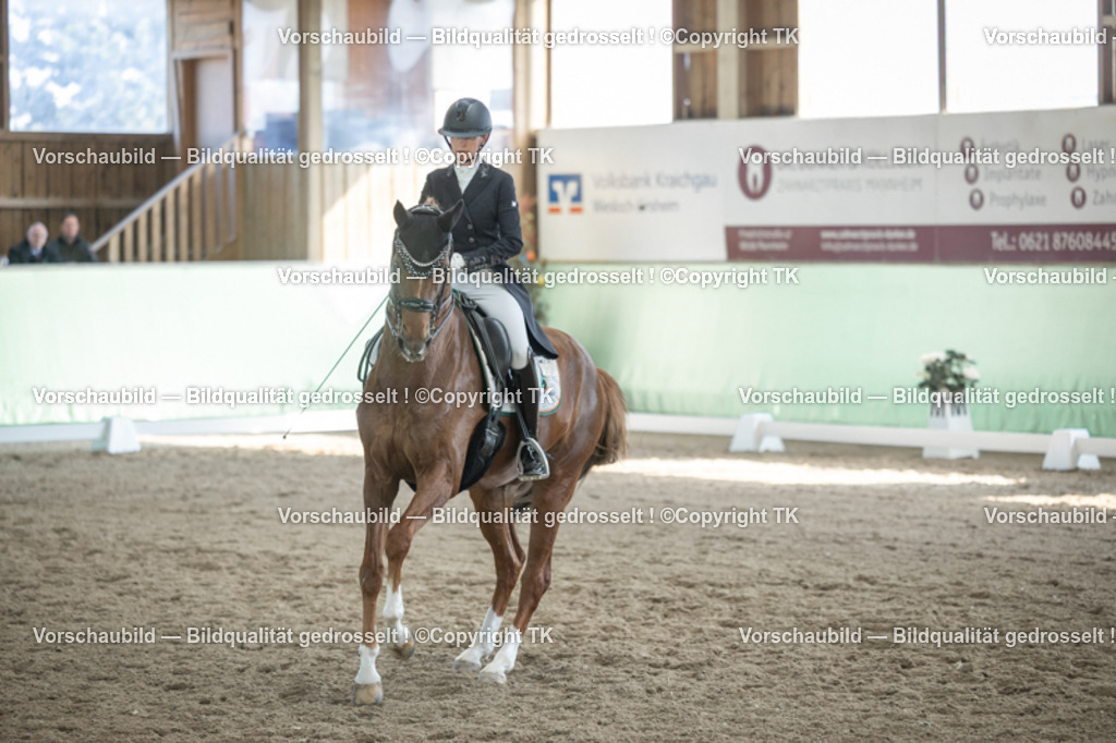 _D5A0073 | Emotionale Pferde- & People-Fotografie rund um Heidelberg, Leimen & Umgebung. Natürliche Fotos von Pferd, Mensch & Familie. Jetzt Termin sichern!