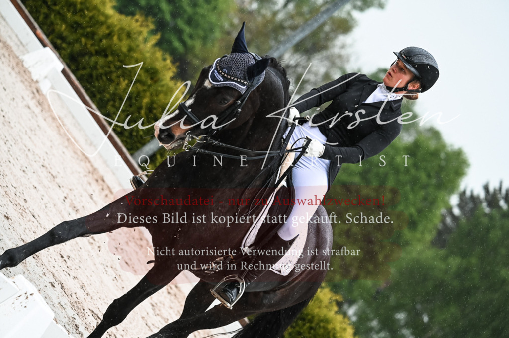 DSC_4507 | Pferde- und Turnierfotografie in Westsachsen. Pferdeportraits, Auftragszeichnungen und intuitive Kunst.