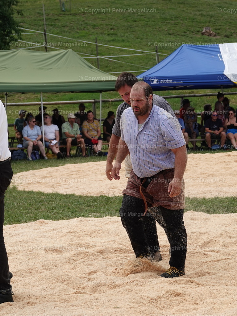 DSC05124 | Schwingen - Realisiert mit Pictrs.com