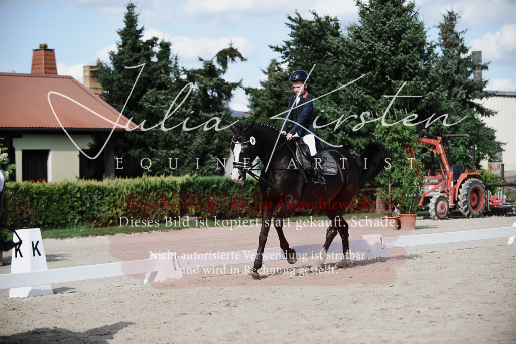 DSC_0008 | Pferde- und Turnierfotografie in Westsachsen. Pferdeportraits, Auftragszeichnungen und intuitive Kunst.