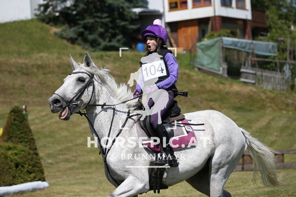 DL2Q1564 | Willkommen bei Brunnmayr - Design & Fotografie – Ihrem Spezialisten für Reitturniere und Pferdeveranstaltungen in Oberösterreich, Salzburg und Bayern! Seit über 17 Jahren sind wir leidenschaftlich dabei.