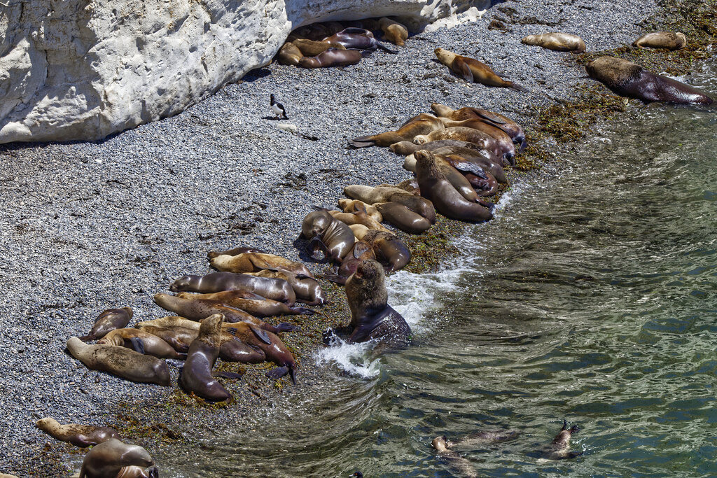 1H5A2055a | ansichtssache