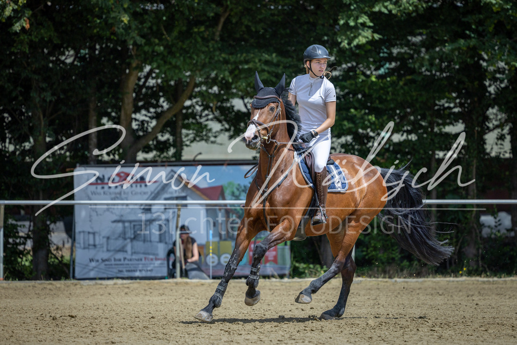 20260704-_3LI9824 | Tierfotografie Pferde, Hunde, Katzen, Haustiere.
Turnierfotografie Reitturniere, Reiten, Springreiten, Dressur in Hanau, dem Main-Kinzig-Kreis und dem Rhein-Main- Gebiet um Frankfurt