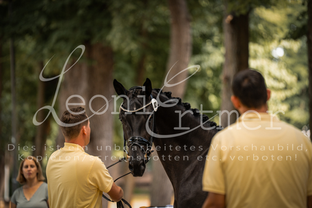 FrPfM00062 | Leoni Ertmer Photography - Realisiert mit Pictrs.com