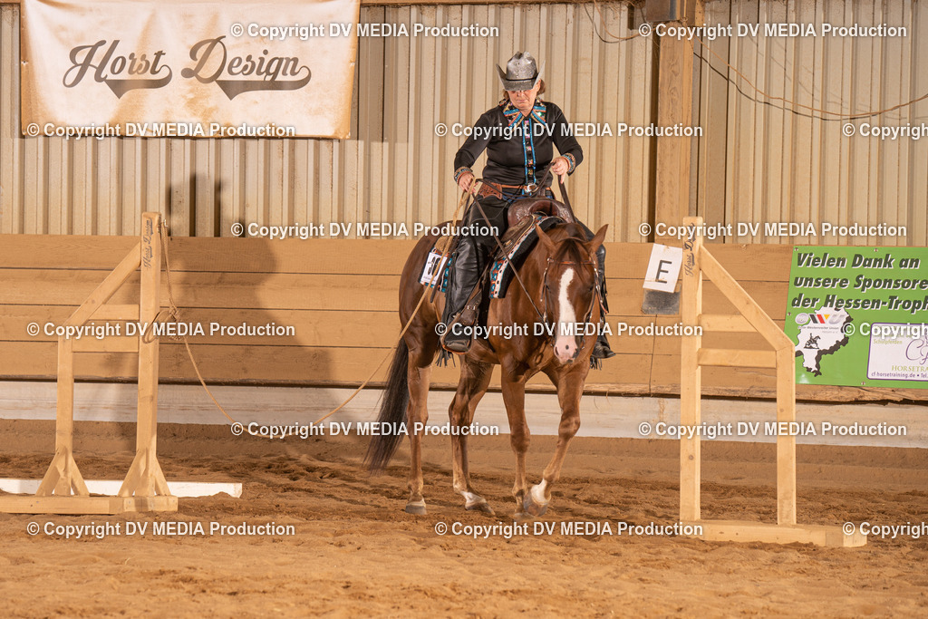 NID00810 | dv-media-shop - Realisiert mit Pictrs.com