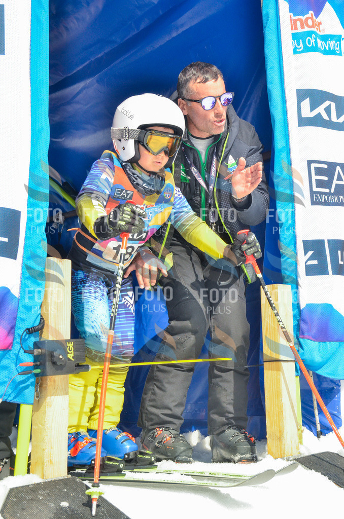 _ELE6728 | holidayphoto