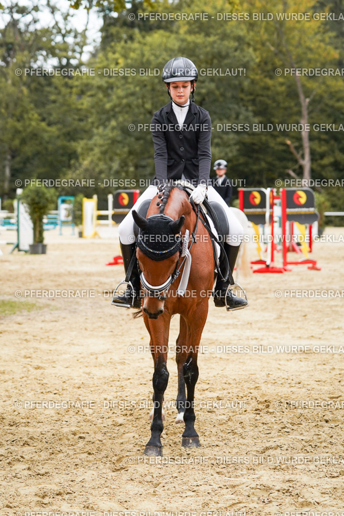 DSC06227 | Pferdegrafie