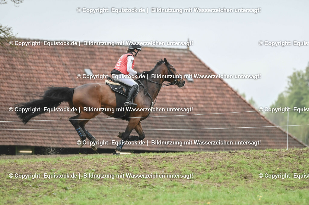 20230513_CCI2_Section1_0176 | equistock