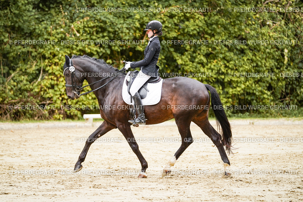 DSC03828 | Pferdegrafie