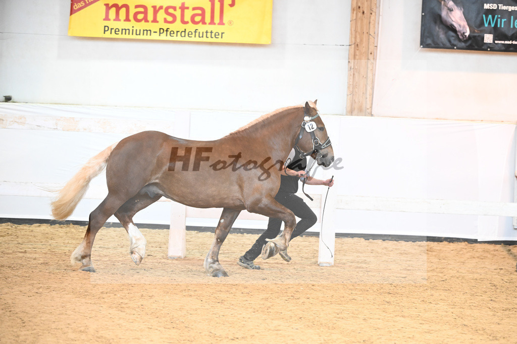 Kat-Nr. 12 v. Sambuca_Holzer_6240123 | hf-fotografie - Realisiert mit Pictrs.com