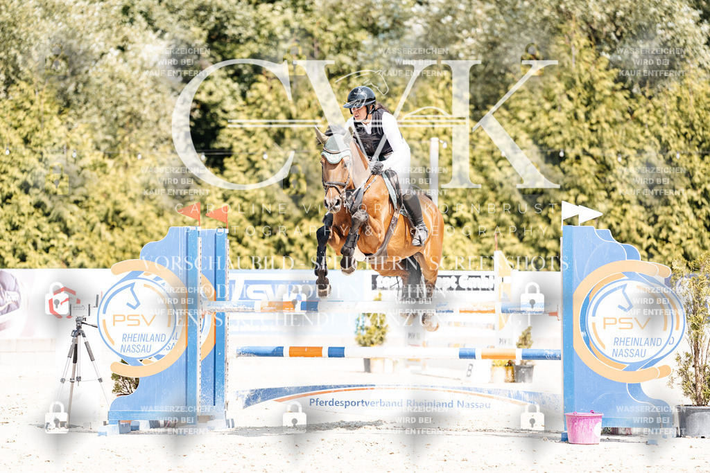 CK901098 | Turnierfotografie Pferdefotografie Trier Rheinland-Pfalz Pferdesport Reitsport Tierfotografie Sportfotografie Pferdevideo Pferdevideografie Equestrianvideography equestrianphotography  - Realisiert mit Pictrs.com