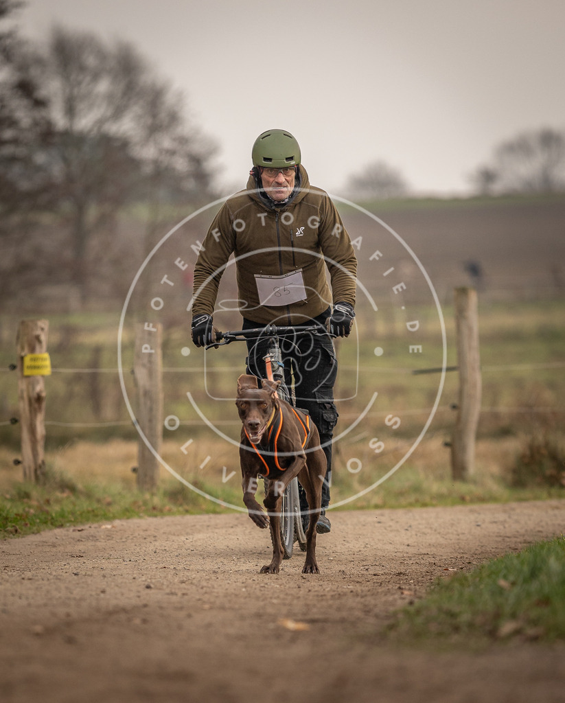 Pfotenfotografie_DV3A4060 | Hundefotografie, Tierfotograf, Pfotenfotografie, Fotoshooting Hund, Hunde Portrait, Hundesport, Hundeportraits, Heideshooting, Hunde, Sportfotograf, Hundefotograf, Turnierhundsport, THS,  - Realisiert mit Pictrs.com