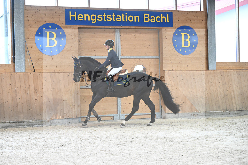 Adzaro de L Abbaye B_7240587 | hf-fotografie - Realisiert mit Pictrs.com