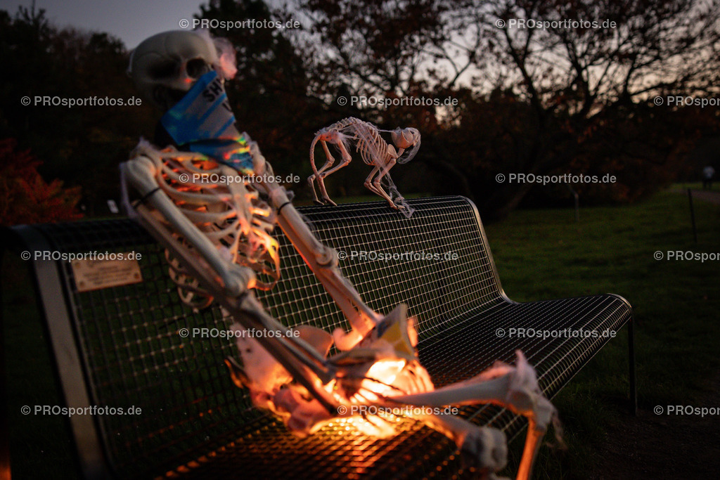 Halloween Run 2024 in Koeln, 31.10.2024 | Impressionen vom Halloween Run 2024 am 31.10.2024 in Koeln (Forstbotanischer Garten Rodenkirchen). Foto: BEAUTIFUL SPORTS/Axel Kohring