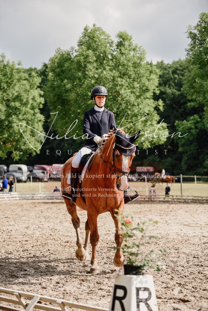 DSC_0016 | Pferde- und Turnierfotografie in Westsachsen. Pferdeportraits, Auftragszeichnungen und intuitive Kunst.