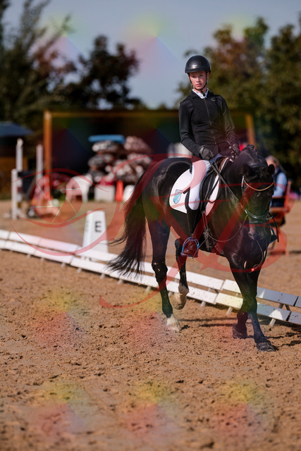 2026_10_03_Siefer-Hof_115802_Z81_99822124 | Professionelle Reitsport-, Turnier- und Eventfotografie von Robert Broda. Galerien mit ausgewählten und bearbeiteten Bildern direkt online ansehen und bestellen.