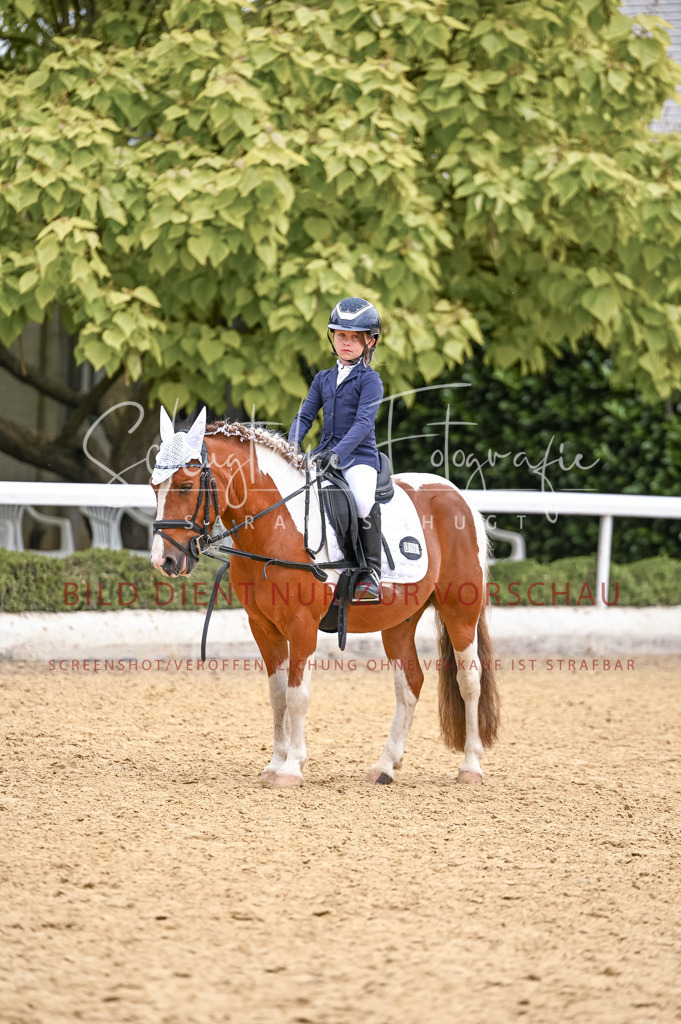 Schugtsche-Aluta25-44.DresssurreiterWB-361 | Schugtsche Fotografie - Realisiert mit Pictrs.com