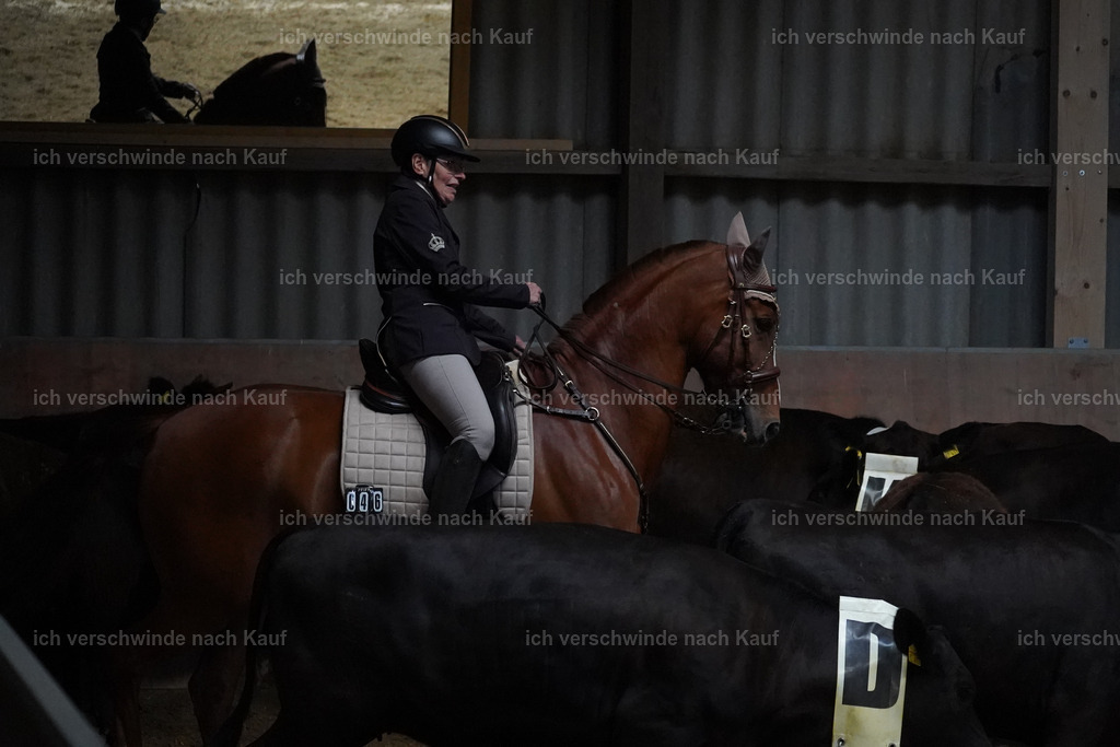 KlasseM_Lucie661 | working equitationturnier fotograf videograf stoibphotography marixx film working equitation deutschland reitsport turnierfotografie eventfotografie equestrian events