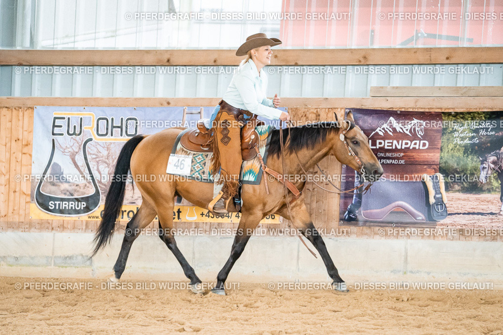 DSC00252 | Pferdegrafie