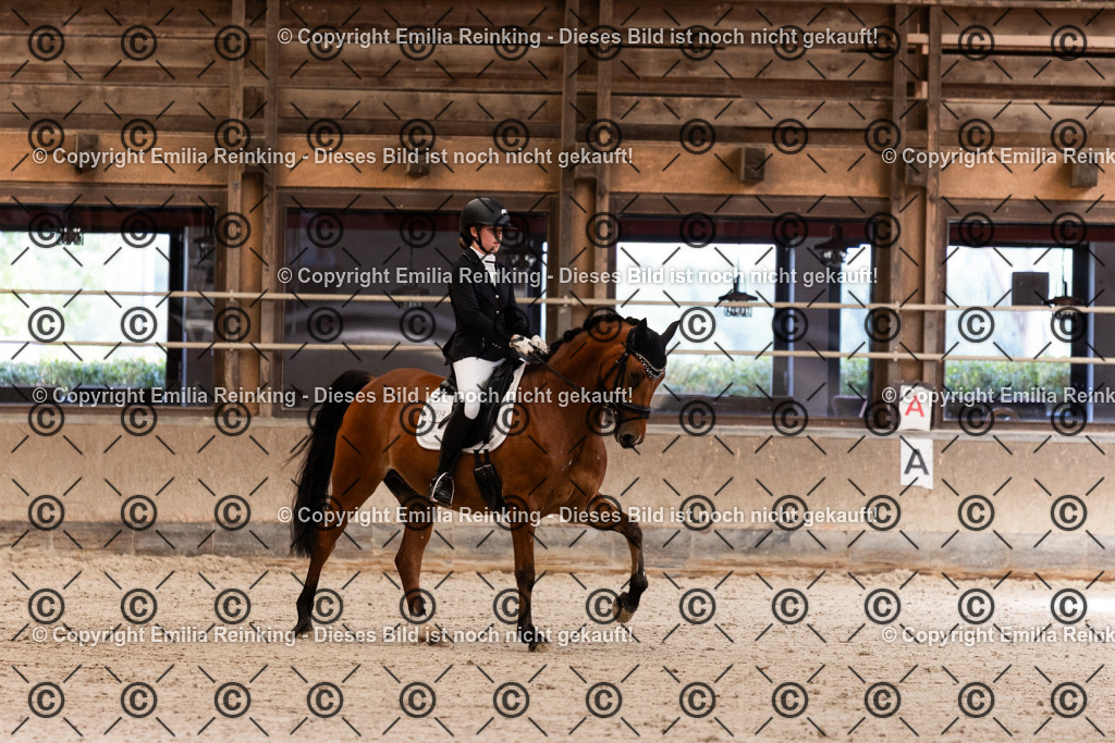 CL5A3917 | Emilia Reinking Fotografie - Realisiert mit Pictrs.com