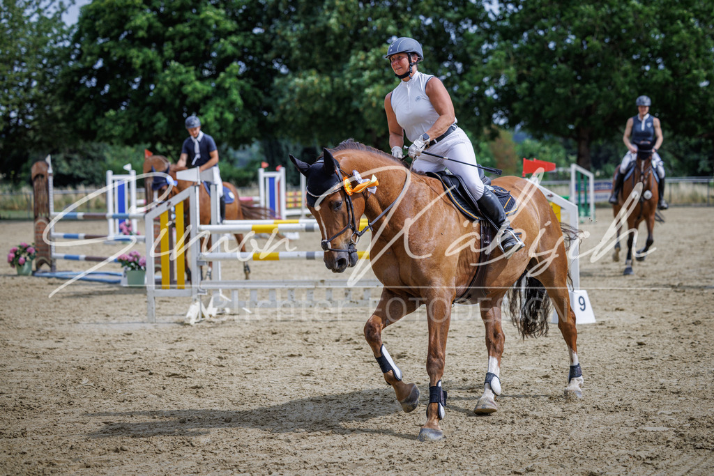 20260705-_3LI6845 | Tierfotografie Pferde, Hunde, Katzen, Haustiere.
Turnierfotografie Reitturniere, Reiten, Springreiten, Dressur in Hanau, dem Main-Kinzig-Kreis und dem Rhein-Main- Gebiet um Frankfurt