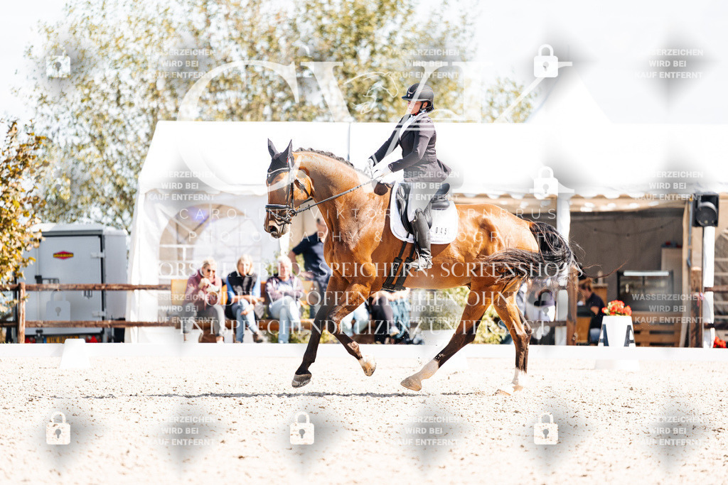 CK903219 | Turnierfotografie Pferdefotografie Trier Rheinland-Pfalz Pferdesport Reitsport Tierfotografie Sportfotografie Pferdevideo Pferdevideografie Equestrianvideography equestrianphotography  - Realisiert mit Pictrs.com
