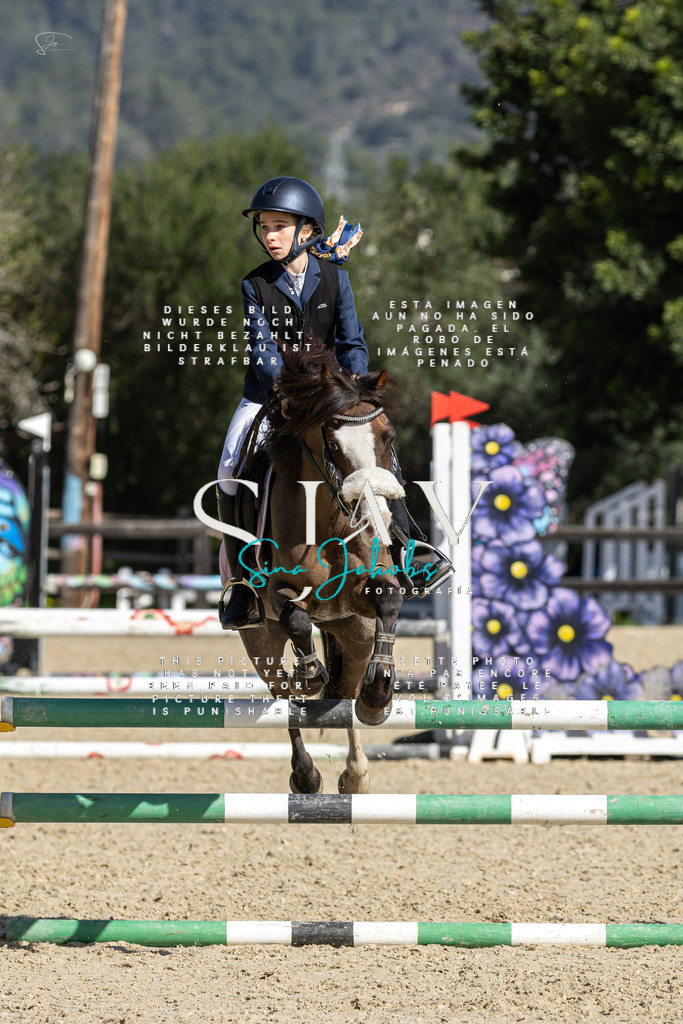 IMG_6294 | s-jay-photography - Realisiert mit Pictrs.com