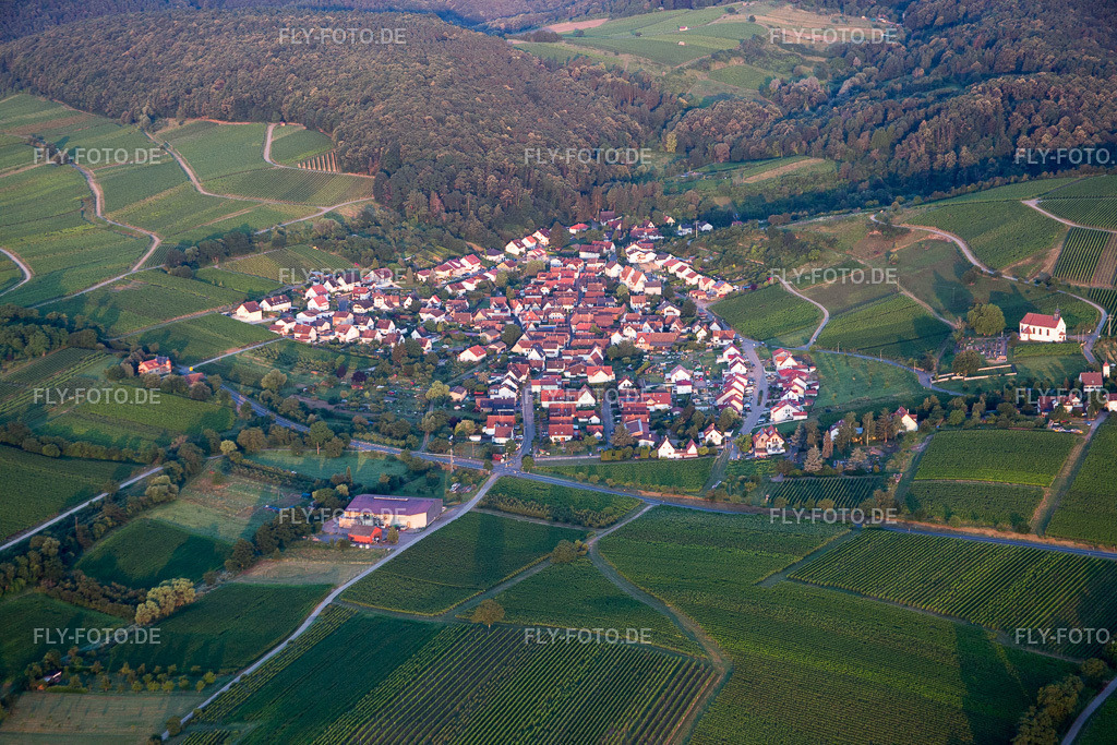 Ortsansicht | Luftbild: Ortsansicht im Ortsteil Gleishorbach in Gleiszellen-Gleishorbach im Bundesland Rheinland-Pfalz in Deutschland. Foto: IMG_091829.jpg vom 16.07.2016 durch Werner Riehm/FLY-FOTO.de - Realisiert mit Pictrs.com