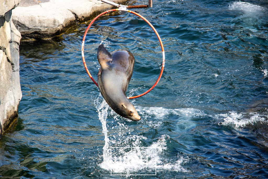 IMG_7756 | jrph - Realisiert mit Pictrs.com