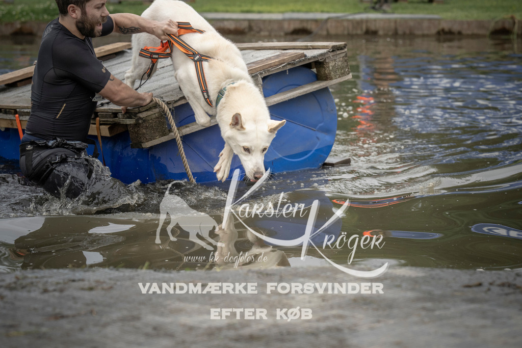 0759_ZZ90051 | kk-dogfotos