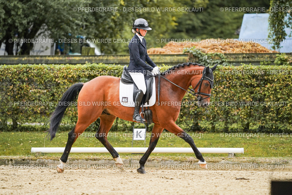 DSC07296 | Pferdegrafie