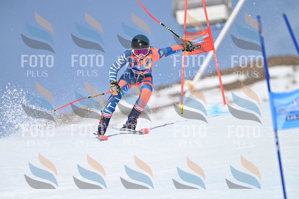 BGV_3051 | holidayphoto