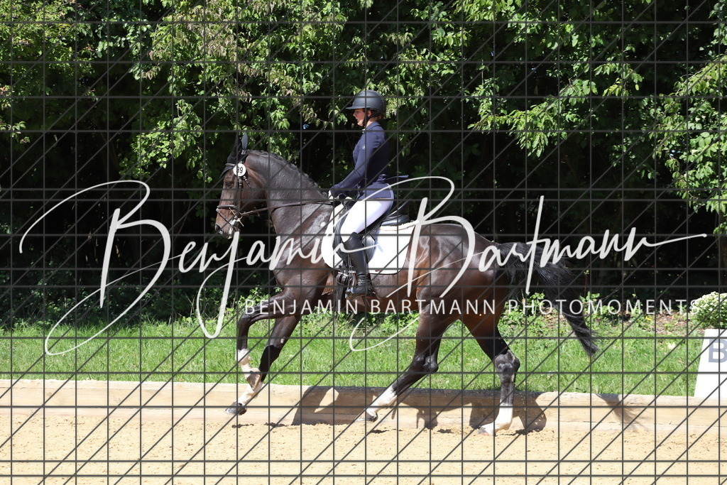 IMG_6510 | Benjamin Bartmann Photomoments