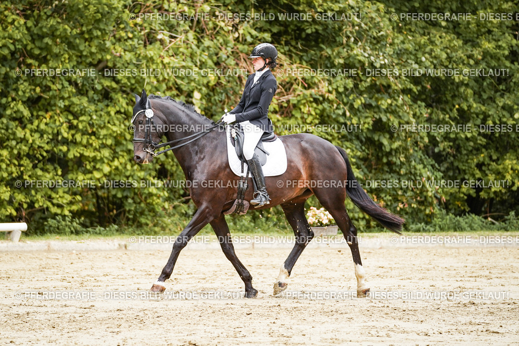 DSC03862 | Pferdegrafie