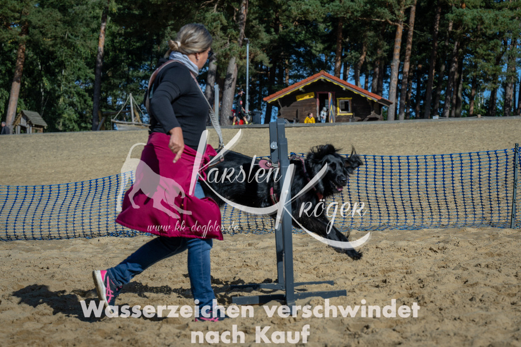 1150_ZZ92148-2 | kk-dogfotos