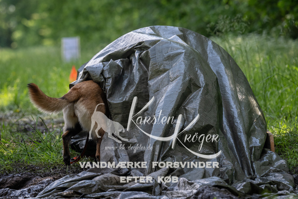 1157_ZZ90436 | kk-dogfotos