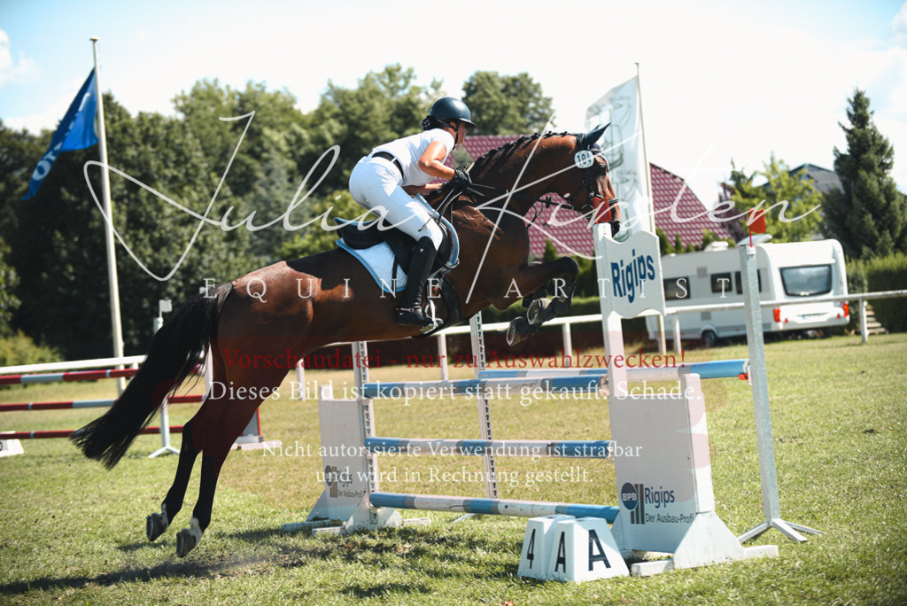 DSC_7247 | Pferde- und Turnierfotografie in Westsachsen. Pferdeportraits, Auftragszeichnungen und intuitive Kunst.