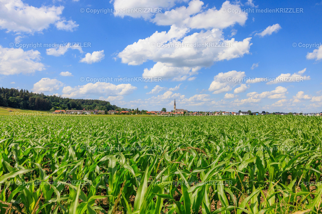 Palling | medienkrizzler - Realisiert mit Pictrs.com