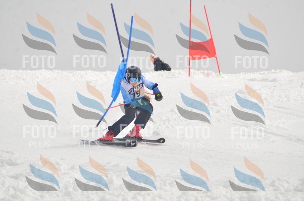 A5655 | holidayphoto