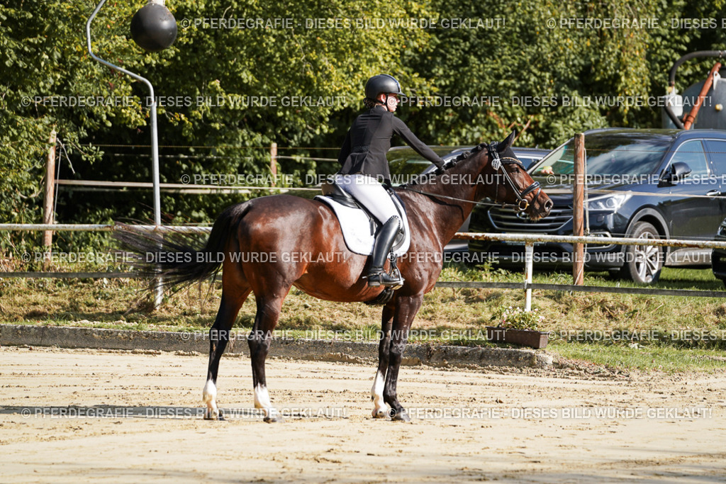 DSC08080 | Pferdegrafie