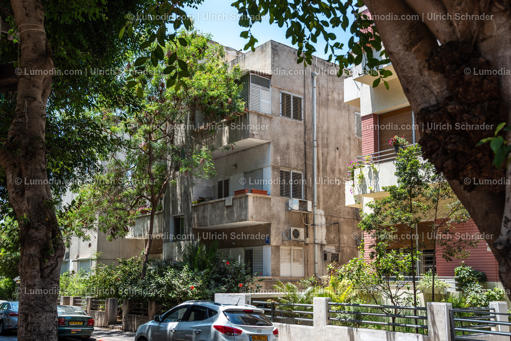 10972-10150 - Tel Aviv - Rothschild Boulevard | Stockfoto und Bilderpool mit Bildmaterial aus Deutschland, dem Harz, Halberstadt, Quedlinburg, Wernigerode und weltweit. Qualitativ hochwertige und professionelle Fotos anschauen und kaufen. - Realisiert mit Pictrs.com