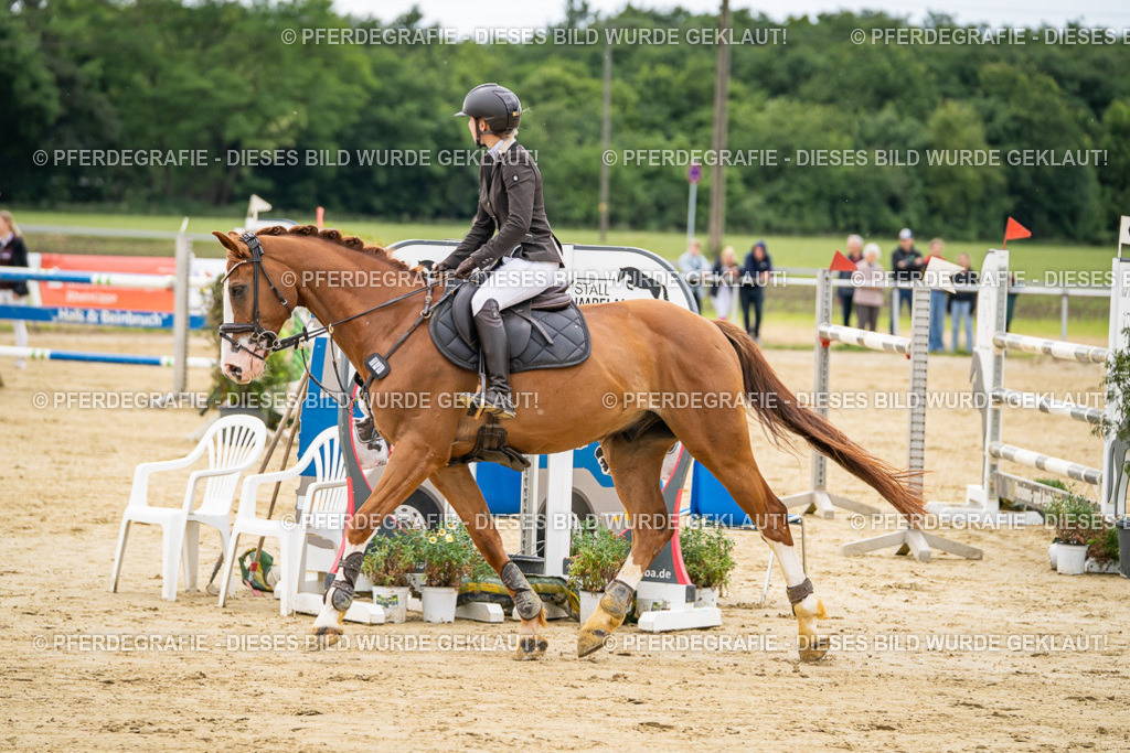 DSC06289 | Pferdegrafie