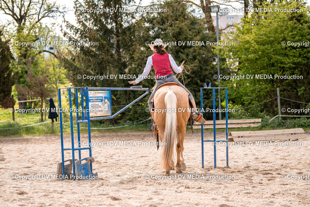 Balingen Tag 3-331 | dv-media-shop - Realisiert mit Pictrs.com