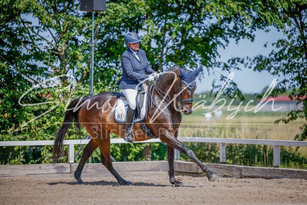20250621-_3LI9539 | Tierfotografie Pferde, Hunde, Katzen, Haustiere.
Turnierfotografie Reitturniere, Reiten, Springreiten, Dressur in Hanau, dem Main-Kinzig-Kreis und dem Rhein-Main- Gebiet um Frankfurt
