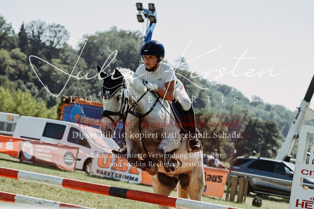 DSC_6529 | Pferde- und Turnierfotografie in Westsachsen. Pferdeportraits, Auftragszeichnungen und intuitive Kunst.