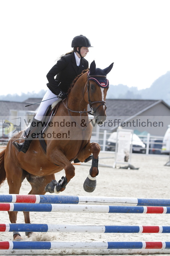 _MG_3287 | equestrian-live-com