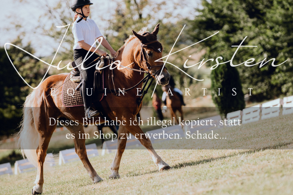 DSC_6897 | Pferde- und Turnierfotografie in Westsachsen. Pferdeportraits, Auftragszeichnungen und intuitive Kunst.