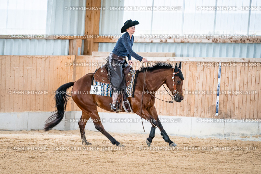 DSC08498 | Pferdegrafie